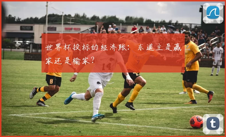 世界杯投标的经济账:东道主是赢家还是输家?