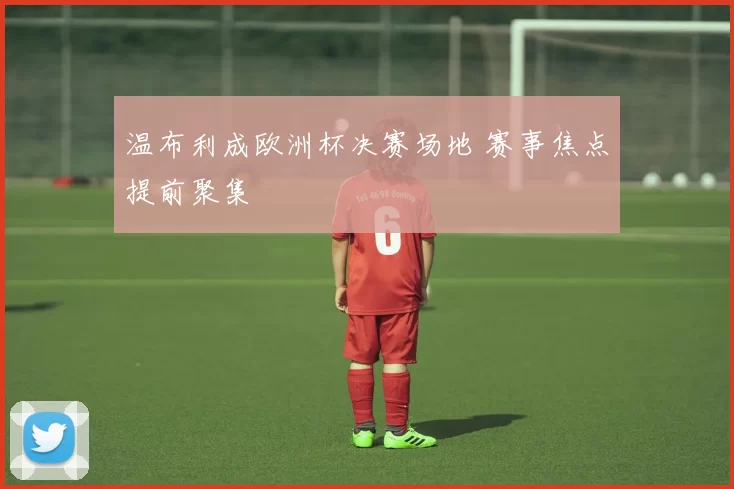 温布利成欧洲杯决赛场地 赛事焦点提前聚集