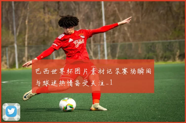 巴西世界杯图片素材记录赛场瞬间与球迷热情备受关注_1