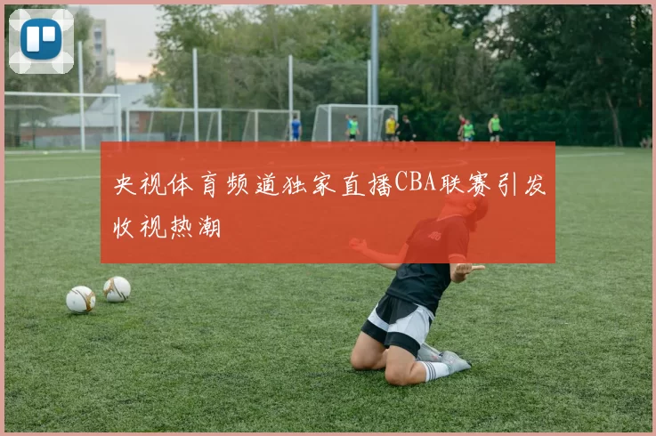 央视体育频道独家直播CBA联赛引发收视热潮