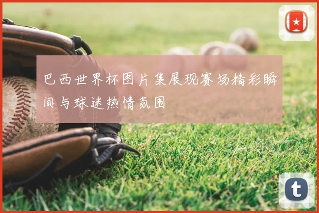 巴西世界杯图片集展现赛场精彩瞬间与球迷热情氛围