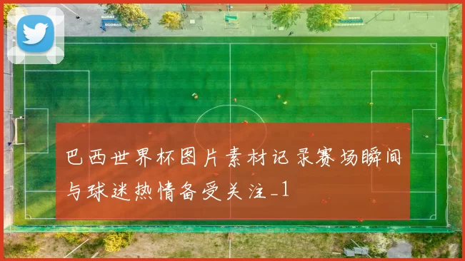 巴西世界杯图片素材记录赛场瞬间与球迷热情备受关注_1