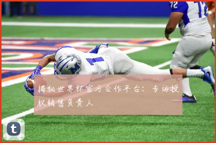 揭秘世界杯官方合作平台：专访授权销售负责人