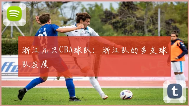浙江几只CBA球队：浙江队的多支球队发展