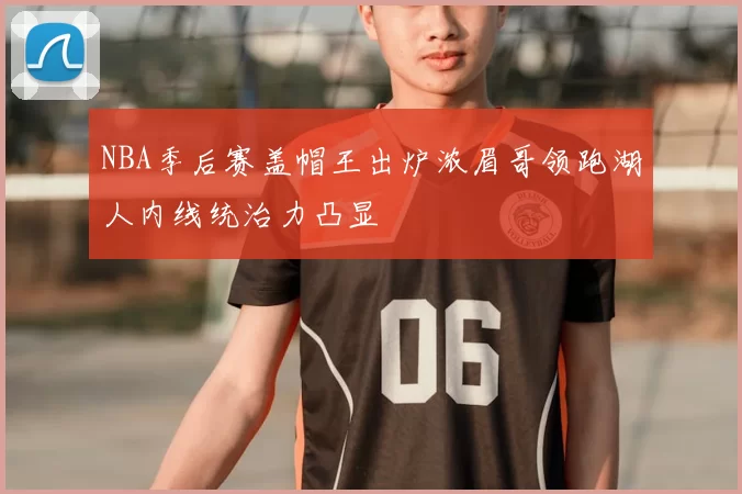 NBA季后赛盖帽王出炉浓眉哥领跑湖人内线统治力凸显