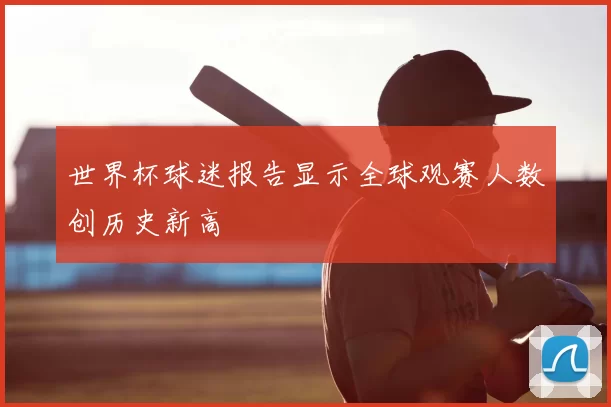 世界杯球迷报告显示全球观赛人数创历史新高