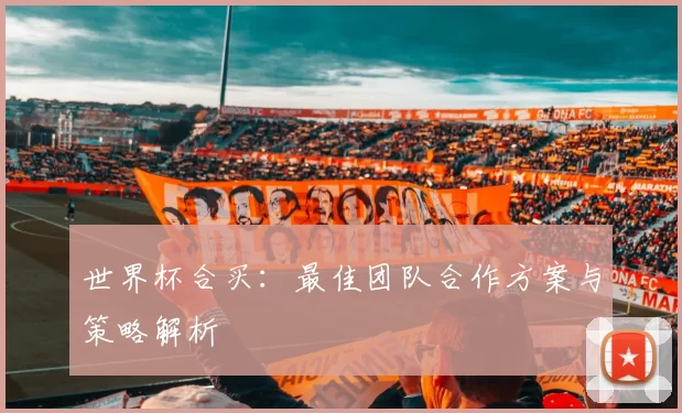 世界杯合买：最佳团队合作方案与策略解析