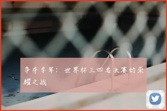 争夺季军:世界杯三四名决赛的荣耀之战