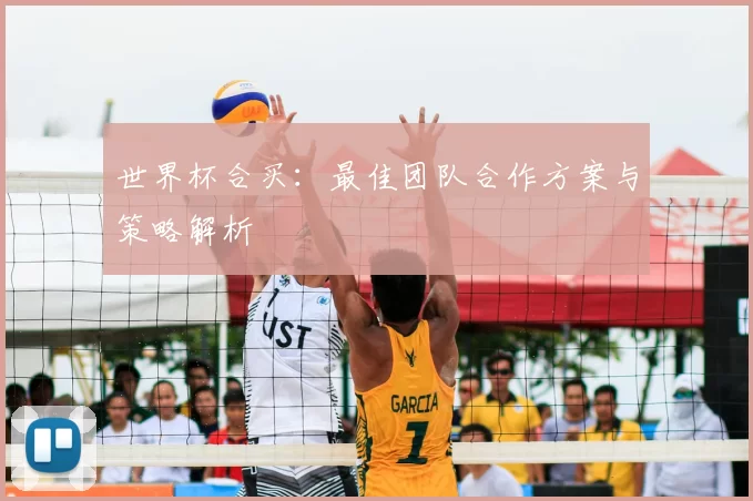 世界杯合买：最佳团队合作方案与策略解析